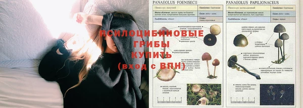 прущая мука Белоозёрский