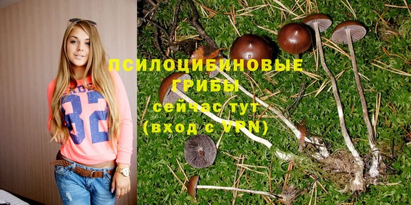 spice Белокуриха