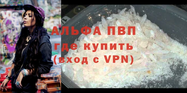 spice Белокуриха