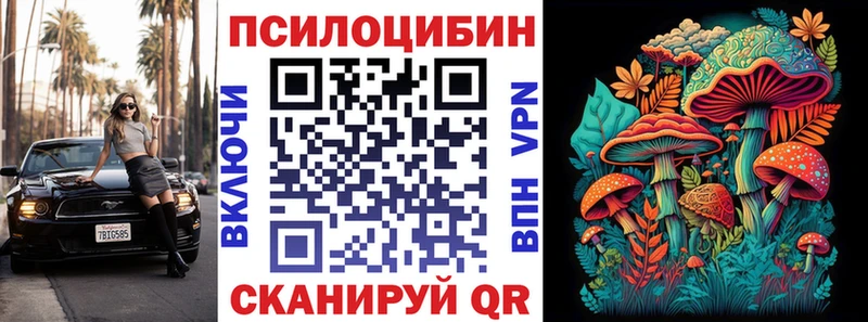 Галлюциногенные грибы Psilocybe  Вуктыл 